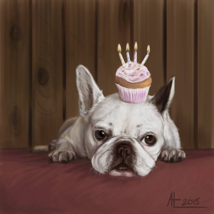 Cupcake Bulldog