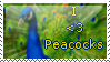 Peacock stamp by 09Striker