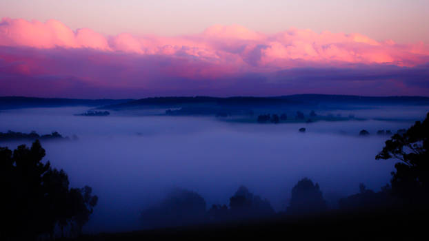 Ground Fog Day