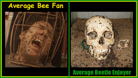 Average Bee Fan vs Average Beetle Enjoyer