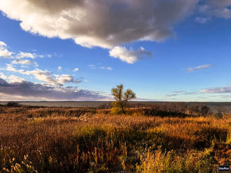 Oswegus: iPhone Photograph