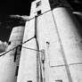 Ashville Grain 8309