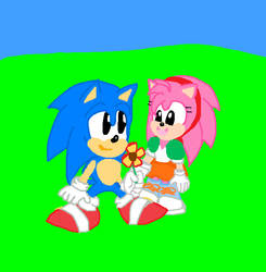 Sonic and Amy Rose (Origins) CD Hedgehogs