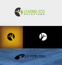 LEADING ECO SOLUTIONS LOGO PRESENTATION.