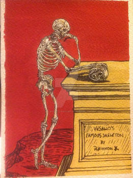 Vesalios famous skeleton by Rhianon