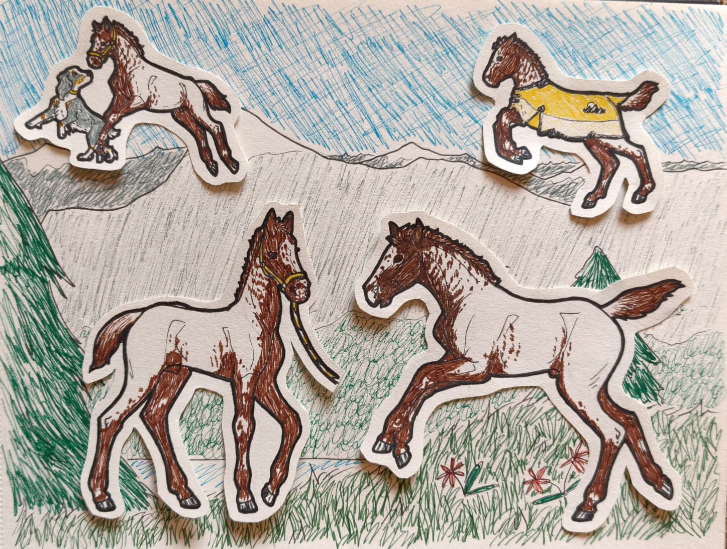 Graffiti - foal training