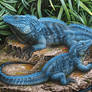The Grand Cayman Blue Iguana
