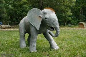 Life sized Gourd Baby Elephant by ART-fromthe-HEART Life sized Gourd Baby Elephant by ART-fromthe-HEART