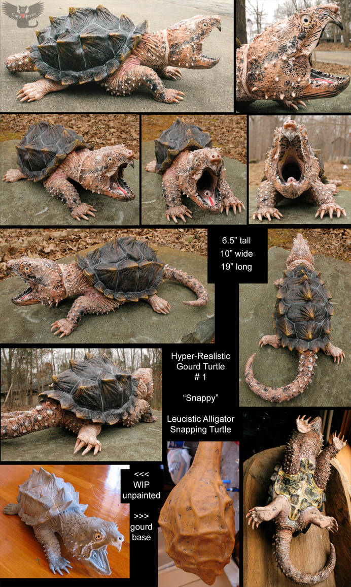 Patsy The Snapping Turtle Snappy - The Gourd Snapping Turtle by ART-fromthe-HEART on DeviantArt