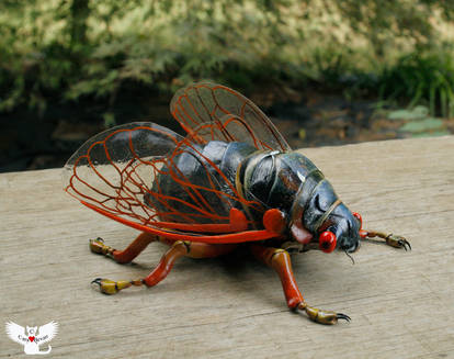 Gourd Sculpted 17 Year Cicada