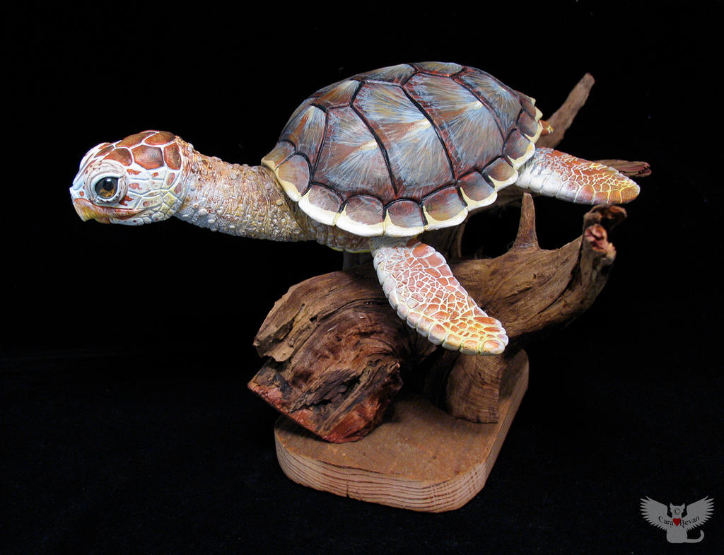 Gourd Loggerhead Sea Turtle by ART-fromthe-HEART on DeviantArt