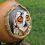 Hoot Hoot in a gourd angled