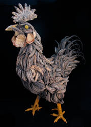 The Devil Claw Rooster