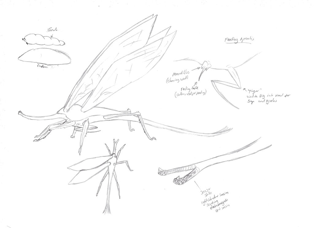 Old sketches: Insectiod Alien by Zemeraire on DeviantArt
