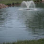 Pond 1