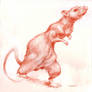 Ratita Little Rat