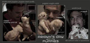 ariokh's day with the puppies