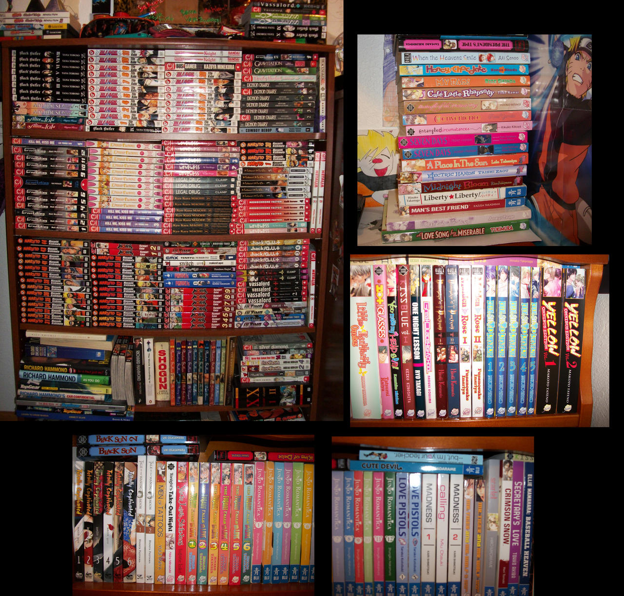 Manga- Collection