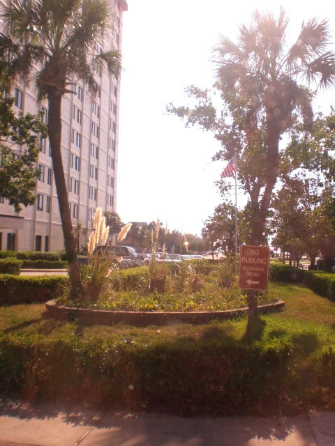 split between two worlds by megarobot93 on DeviantArt