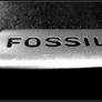 Fossil