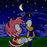 SonAmy (Sonic X Style) Improved version