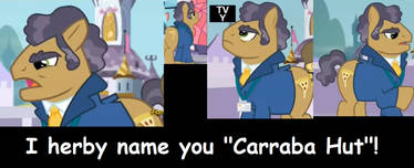 Carraba Hut Pony