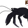 KK:TEWOTW - Skull Island Giant Coconut Crab