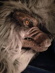 Werewolf Head