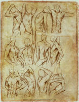 +MALE BODY STUDY II+