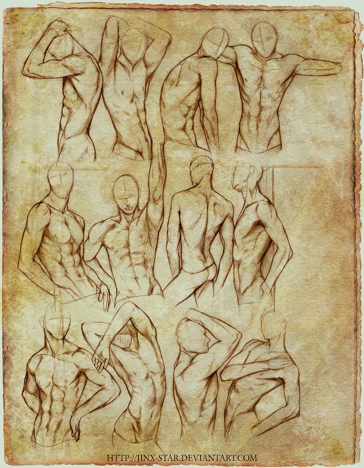 +MALE BODY STUDY II+