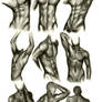 +MALE BODY STUDY III+