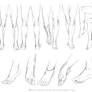 +LEGS AND FEET STUDY+