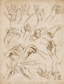 +HAND STUDY . EXPANDED+