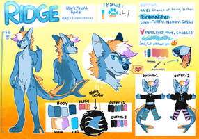 c .. Ridge Refsheet // SFW