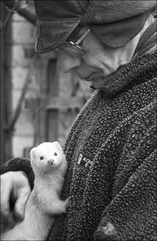 Man with an Ermine