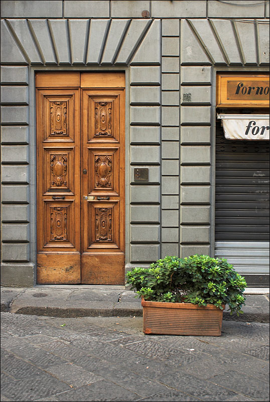 Door and Bush