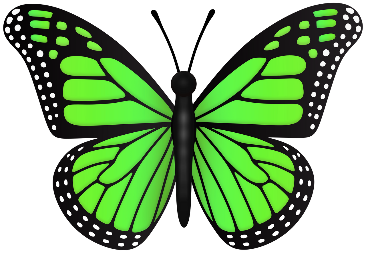 Green Butterfly Wings By Mendez1996 On DeviantArt green-butterfly-wings-by-mendez1996-on-deviantart