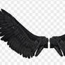 Black Angel Wings 3