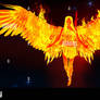 Fire Angel Wings 6