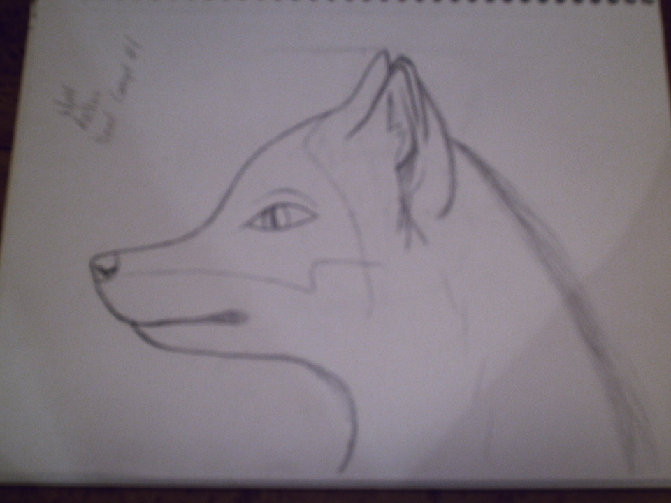 Wolf Anthro Head