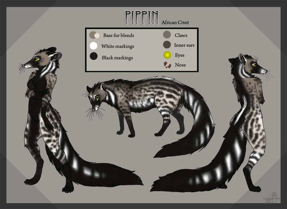 Pippin ref sheet