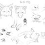 red fox doodles