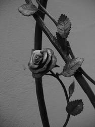 Metal Rose