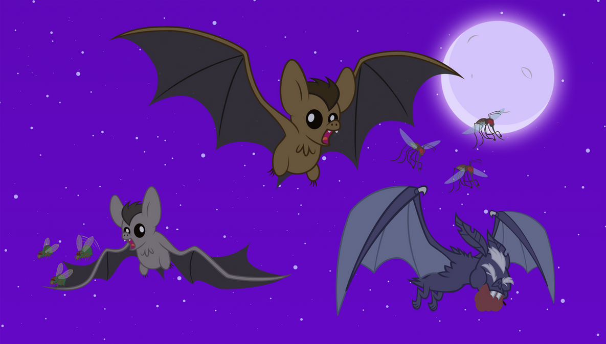 Bat Riding Deviantart Equestrian Bats Hunting by AndoAnimalia on DeviantArt