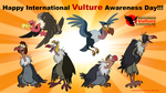 International Vulture Awareness Day 2020 by AndoAnimalia