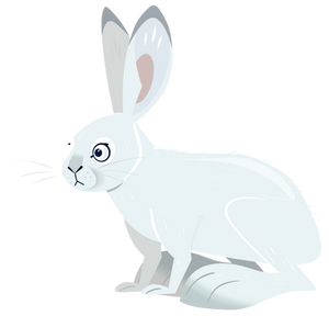 Wild Kratts Snowshoe Hare