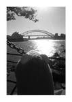 Kermit does Sydney by dravien