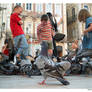 children and pigeons
