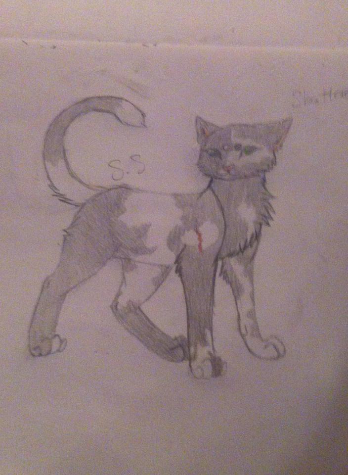 See, I can draw cats, too!