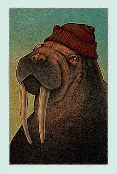 Walrus Jacques (CG)